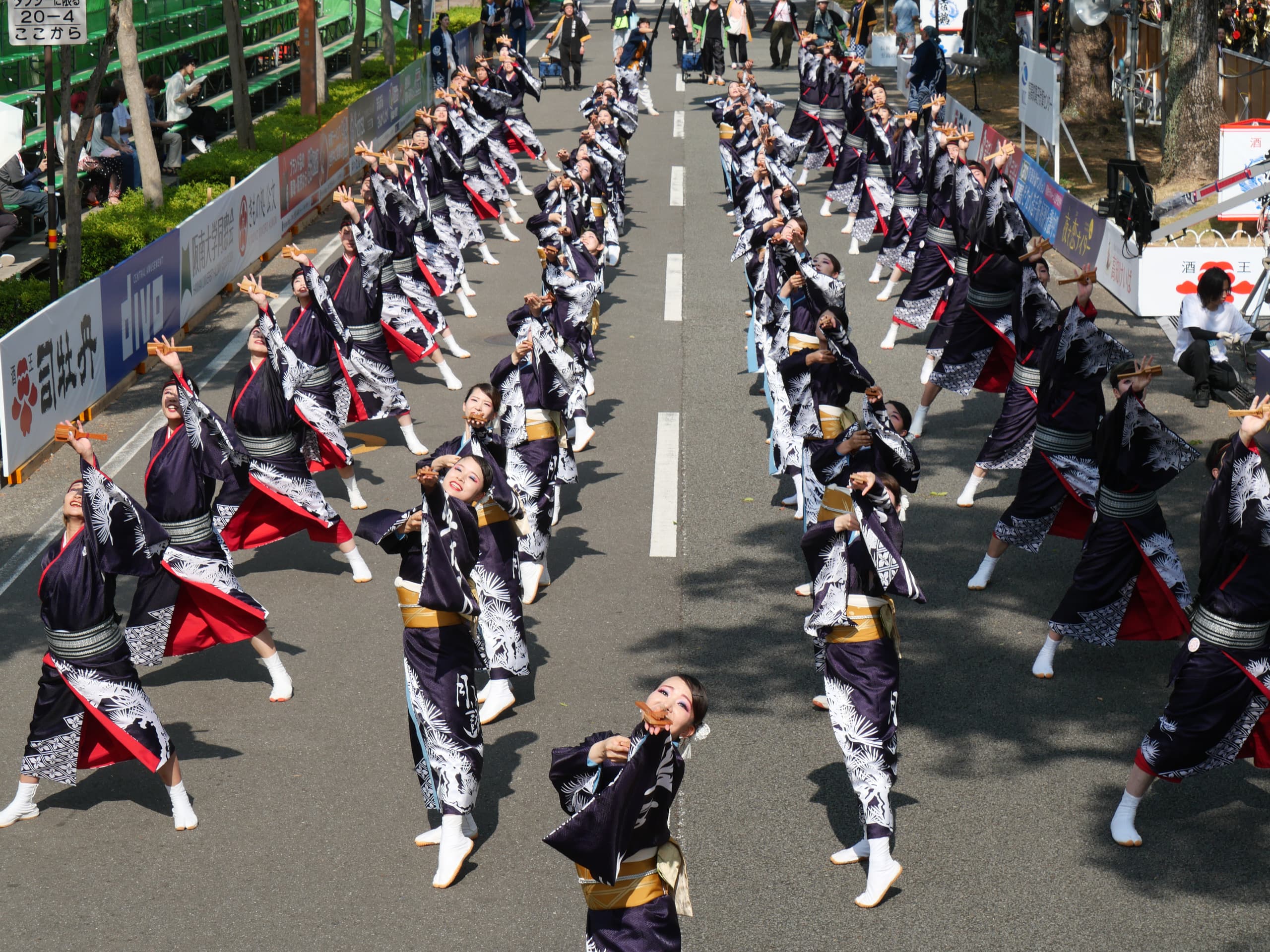 p1002763.jpg