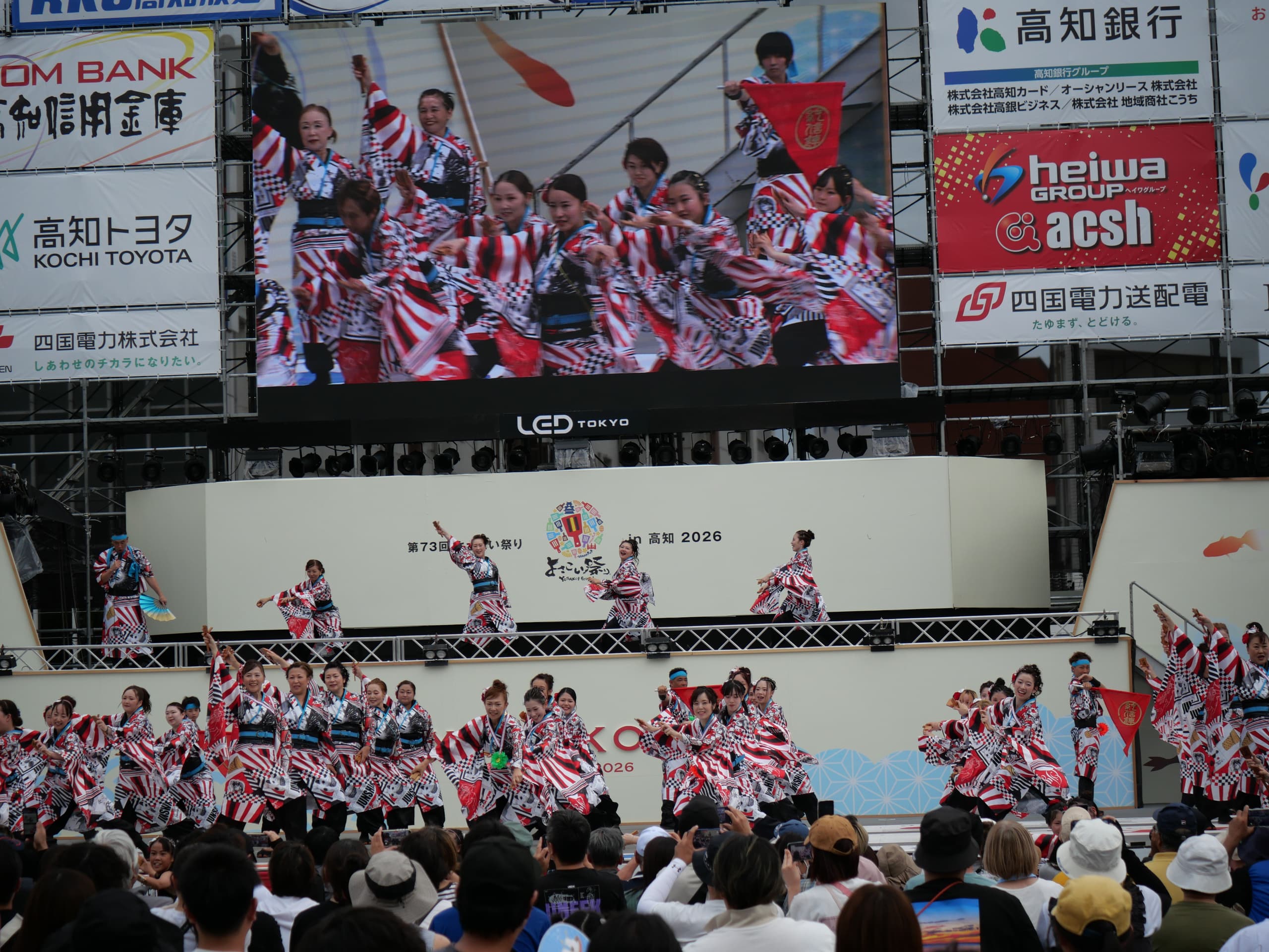 p1003861.jpg